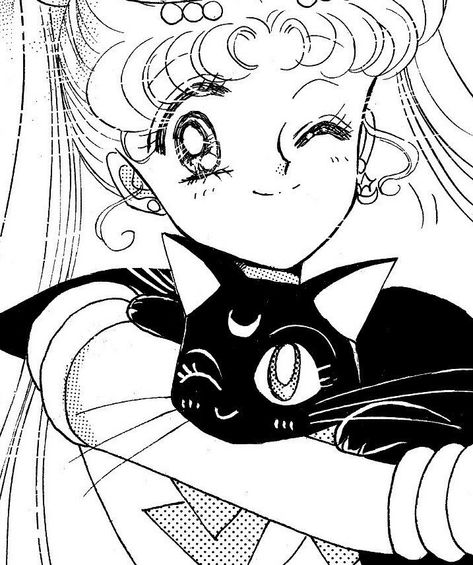 Usagi Tsukino Aesthetic, Sailor Moon Background, Sailor Moon Cat, Sailor Moon Anime, Sailor Moon Tattoo, Moon Icon, Arte Sailor Moon, Moon Aesthetic, Moon Cat