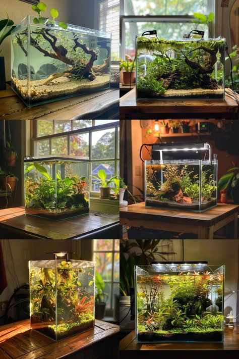 Ready to refresh your aquarium's look? Check out these inspiring guppy tank ideas for a beautiful aquatic setup. Visit our blog for detailed guides on implementing these guppy tank ideas. Aquarium Shelf Ideas, Small Planted Aquarium, Fish Tank Inspiration, Aquarium Table Ideas, Cute Aquarium Ideas, Fish Tank Themes Creative, Shrimp Tank Aquascape, Goldfish Aquarium Ideas, Natural Fish Tank Ideas