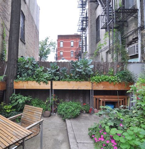 balcony Urban Gardening Balcony, Small City Garden, Small Garden Ideas, Colorful Planters, Beautiful Outdoor Spaces, Urban Gardening, Backyard Playground, City Garden, Apartment Garden