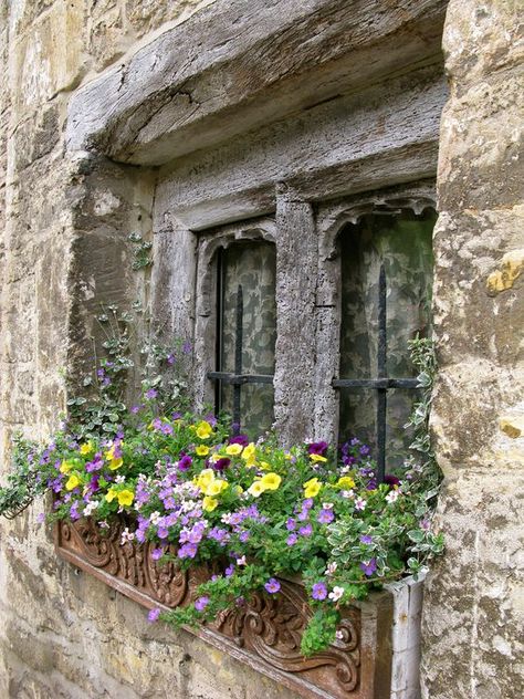 #England #UK Cottage Windows, Window Box Flowers, Flower Window, Queen Photos, Beautiful Windows, Garden Windows, Old Windows, Window Dressings, Window View