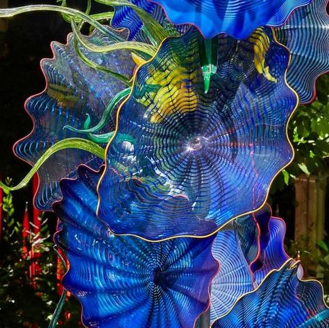 Dale Chihuly on Instagram: "An exploration of form and color, #Chihuly's "Persians" are at the center of many of his most memorable installations. "Temperate House Persians" at the Royal Botanic Gardens, Kew, London (2018). @kewgardens © Chihuly Studio ____________________ #Chihuly #DaleChihuly #ChihulyGlass #Glass #GlassArt #Glassblowing #Art #FineArt #ChihulyPersians #Blue #Kew #London #LondonArt #KewGardens #RoyalBotanic #RoyalBotanicGarden" Glassblowing Art, Royal Botanic Gardens, Dale Chihuly, Botanic Gardens, Chihuly, Kew Gardens, London Art, Botanical Gardens, Glass Blowing