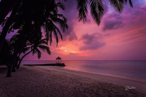 Earn Money From Youtube, Youtube Monetization, Pink Nature, Another Day In Paradise, The Palms, Sky Color, Sunset Landscape, Beach Wallpaper, Pink Sunset