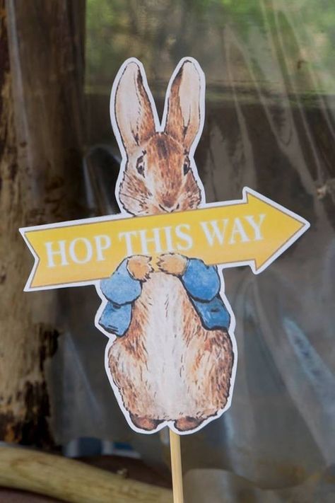 Peter Rabbit Directional Sign from a Peter Rabbit Birthday Party on Kara's Party Ideas | KarasPartyIdeas.com (10) Rabbit Theme Party, Peter Rabbit Theme Party, Peter Rabbit Birthday Party, Rabbit Birthday Party, Peter Rabbit Cake, Easter Birthday Party, Bunny Theme, Unique Party Ideas, Easter Baby Shower