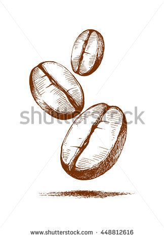 Coffee Bean Illustration, Coffee Mural, Sketches Colour, Coffee Paint, Drawing Leaves, Persian Tattoo, Coffee Package, Coffee Tattoos, Wrist Tattoos For Guys