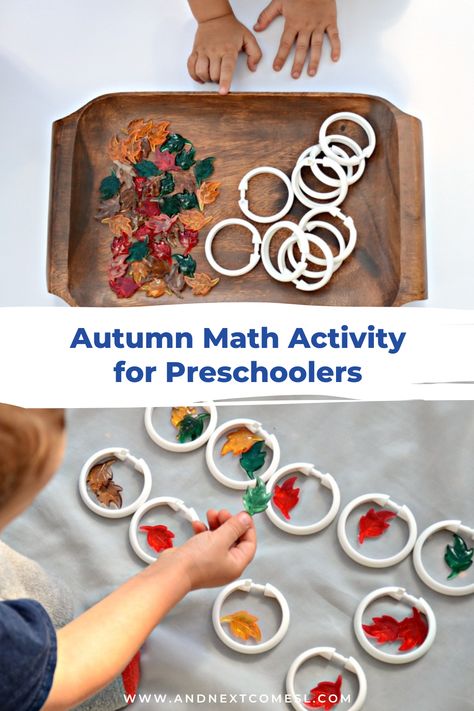 Looking for fall math activities for preschoolers and toddlers? Then try this simple fall math activity tray! It's a great way to practice counting, grouping, color sorting, and more! Preschool Fall Math Activities, Preschool Fall Math, Math Activities For Preschoolers, Fall Math Activities, Thanksgiving Math Activities, Montessori Trays, Thanksgiving Math, Math Activities For Kids, Fall Math