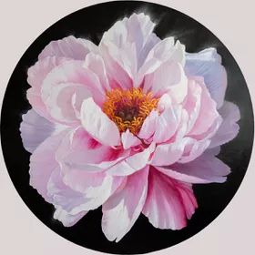 Dolce Peony Oil painting by Ira Volkova | Artfinder Ira Volkova Art, Dyi Painting, Peony Oil, Small Canvas Paintings, Flower Painting Canvas, 수채화 그림, Botanical Painting, Botanical Drawings, Flower Art Painting