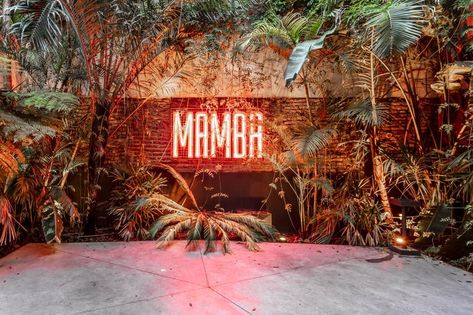 Premiado por su arquitectura. El bar mejor diseñado de América queda en Palermo - LA NACION Outdoor Restaurant Design, Coffee Shop Interior Design, Coffee Shops Interior, Artistic Images, Outdoor Restaurant, Green Landscape, Beach Bars, Shop Interior Design, Cafe Design