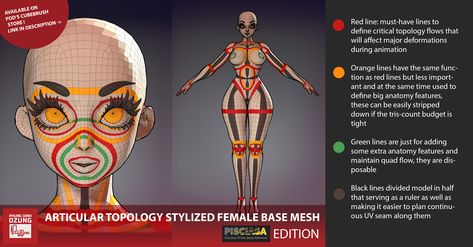 Stylized Character Production Techniques in UE4 Face Topology, Stylized Face, Female Base, 3d Modeling Tutorial, Video Game Development, Female Reference, Art Resources, Orange Line, Anatomy Study