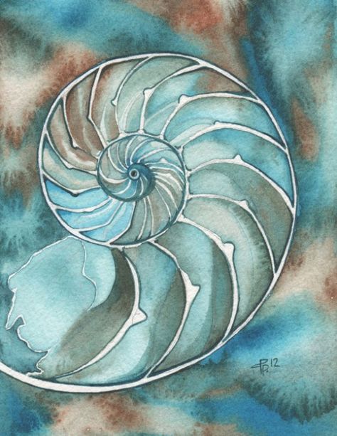 The Freedom of the Nautilus Art Plage, Painted Shells, Water Art, Blue And Brown, Ocean Themes, Watercolor Inspiration, Shell Art, Silk Painting, Watercolor Artwork