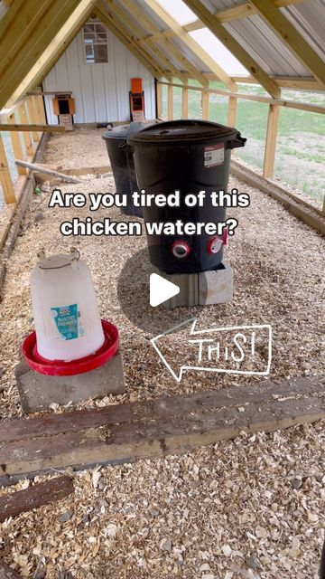 Mess Free Chicken Feeder, Water For Chicken Coop, Large Chicken Waterer, Diy Chicken Waterer, Chicken Watering System, Chicken Waterer Diy, Fancy Chicken Coop, Chicken Water Feeder, Chicken Waterer