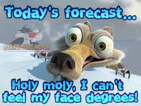 20 Funny Winter Images To Help Get Over Your Winter Blues Christmas Morning Quotes, Cold Humor, Funny Winter Quotes, Cold Weather Funny, Cold Weather Quotes, Winter Humor, Good Morning Winter, Funny Good Morning, Good Morning Quotes For Him