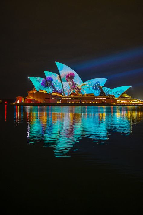 Vivid Sydney | Light, Music & Ideas Festival Wallpaper Design Ideas, Free Home Decor, Winter In Australia, Vivid Sydney, Retail Facade, Visit Melbourne, Home Decor Wallpaper, Wallpaper For Walls, New Year Decoration