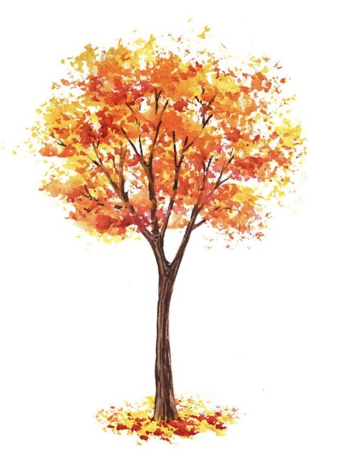 Aesthetic Tree Drawing, Autumn Season Drawing, Fall Tree Drawing, Watercolor Seasons, Autumn Tree Drawing, Fall Tree Watercolor Painting, Autumn Trees Painting, Autumn Tree Painting, Watercolour Trees