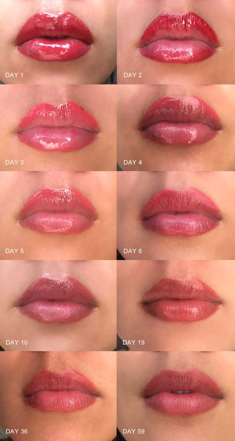 Permanent Makeup & Lip Tattoos: I Got My Lips Done (& Here's Why) - THE BALLER ON A BUDGET - An Affordable Fashion, Beauty & Lifestyle Blog Lip Blushing Color Chart, Lip Tattoo Healing Process, Lip Pigmentation Tattoo, Pmu Lips Healing Process, Lip Blushing Tattoo Before And After Colors, Permanent Lip Color Tattoo, Lipblush Tattoo, Lip Tattoo Color, Lip Blushing Tattoo Before And After