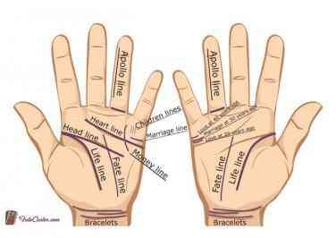 Palm Reading Guide: How To Read Palms And Understand Your Personality | YourTango Hand Lines Meaning, Palm Lines Meaning, How To Read Palms, Palm Reading Lines, Palm Reading Charts, Palmistry Reading, Palm Lines, Reading Guide, Palm Reader