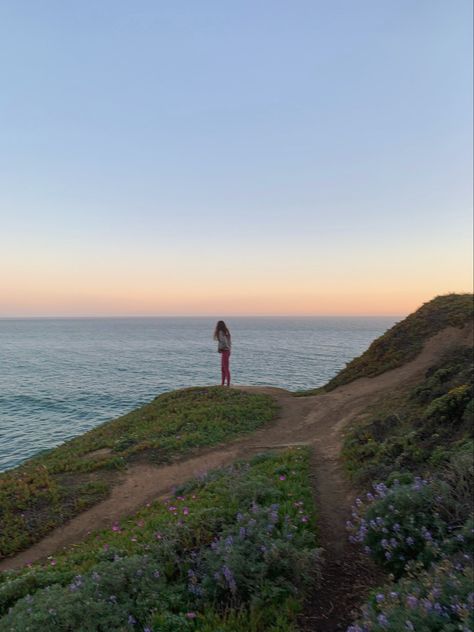 California Coast Road Trip Aesthetic, California Roadtrip Aesthetic, California Nature Aesthetic, Oceanside California Aesthetic, Living In California Aesthetic, California Life Aesthetic, Northern California Aesthetic, California Vibes Aesthetic, California Summer Aesthetic