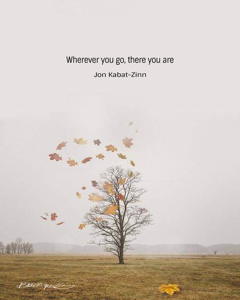 Jon Kabat Zinn Quotes, Being In The Present, Fulfillment Quotes, Advaita Vedanta, True Sayings, Jon Kabat Zinn, Zen Quotes, Quotes Deep Meaningful, Gratitude Quotes