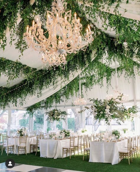 Floral Roof Installation Wedding, Wedding Greenery Ceiling, Weeding Decoration Inside, Draping Decor, Tent Draping, Event Draping, Reception Ceiling, Woodbine Mansion, Tent Decor