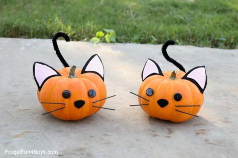 Halloween Cat Crafts, Easy Pumpkin Decorating, Pumpkin Decorating Ideas, Carving Pumpkins, Halloween Pumpkin Designs, Pumpkin Carvings, Fun Halloween Crafts, Pumpkin Carving Templates, Fun Crafts To Do