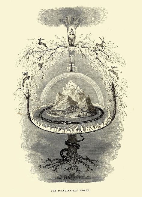 Yggdrasil: The Sacred Ash Tree of Norse Mythology – The Public Domain Review Mystery Art, Structure Of The Universe, Scandinavian History, Yggdrasil Tree, Altered Book Journal, World Tree, Norse Myth, Art Poetry, Sacred Tree