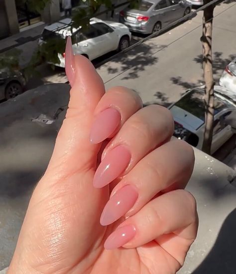 Transparent Pink Almond Nails, Pink Jelly Nails Acrylic Long, Pink Almost Nails, Elongated Almond Nails, Long Almond Jelly Nails, Almond Nails Sheer Pink, Glossy Pink Almond Nails, Almond Nails Jelly Pink, Pink Jelly Almond Nails