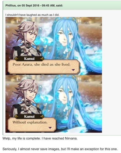 Fire Emblem Fates Azura, Fe Fates, Fire Emblem Games, Fire Emblem Fates, Fire Emblem Awakening, Blue Lion, Video Games Funny, Gaming Memes, Super Smash Bros