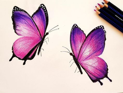 Butterfly Coloured Pencil Drawing, Butterfly Flower Drawing Color, Butterfly Pencil Color, Butterfly Colorful Drawing, Two Butterflies Drawing, Butterfly Drawing Pencil Coloring, Color Pencil Butterfly, Colored Pencil Butterfly, Drawing Ideas Easy Butterfly