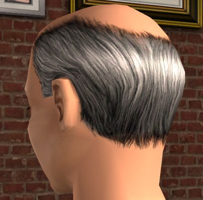 Mod The Sims - Salt and Pepper male bald hair by request Sims 4 Cc Bald Hair, Sims 4 Cc Elderly Hair, Sims 2 Hair, Going Bald, Bald Spot, Male Pattern Baldness, Pattern Baldness, Bald Hair, Bald Head