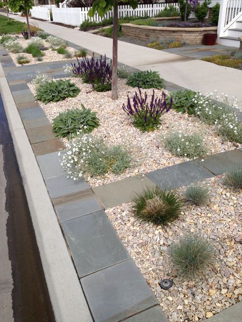 Curb Parking Landscaping Parking Landscape, Backyard Parking, Sidewalk Landscaping, Rocks Garden, Xeriscape Front Yard, Xeriscape Landscaping, Side Walk, Landscaped Garden, Design Backyard