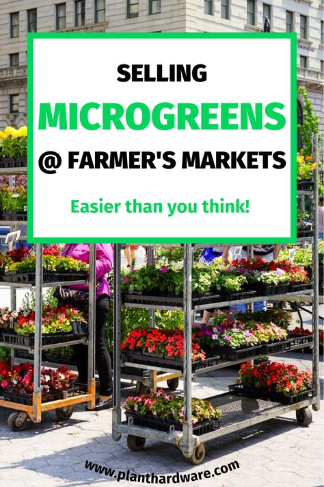 Microgreens Business Ideas, Microgreens Farmers Market, Microgreens Packaging Ideas, Selling Microgreens, Microgreens Business, Microgreen Business, Micro Gardening, Backyard Nursery, Indoor Hydroponic Gardening