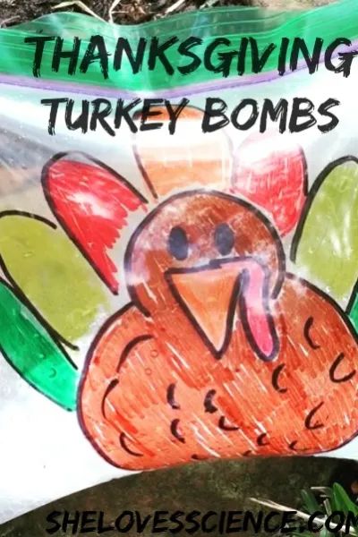 Thanksgiving Thanksgiving Science Activities, Turkey Science, Science Activities For Preschool, Kindergarten Science Projects, Thanksgiving Science, Thanksgiving Stem Activities, Thanksgiving Stem, Thanksgiving Activities Preschool, Turkey For Thanksgiving