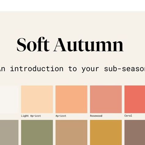 Created Colorful Soft Autumn, Soft Autumn Colors To Avoid, Soft Autumn Makeup Products, Soft Autumn Jewelry Colour, Sunlit Soft Autumn Color Palette, Season Analysis, Autumn Color Palette Fashion, Colour Season, Blue Autumn