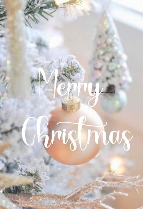 Christmas Wishes Messages, Merry Christmas Wallpaper, Merry Christmas Pictures, Happy Merry Christmas, Winter Wonderland Christmas, Merry Christmas Wishes, Colorful Christmas Tree, Christmas Lettering, Naha