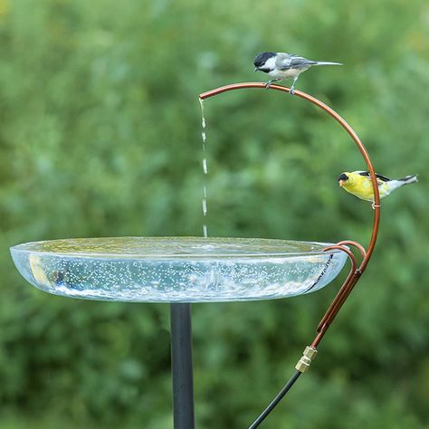 Hummingbird Food, Diy Bird Bath, Birds Wallpaper, Bird Bath Garden, Diy Bird Feeder, Bird Baths, Moving Water, Diy Birds, Diy Water