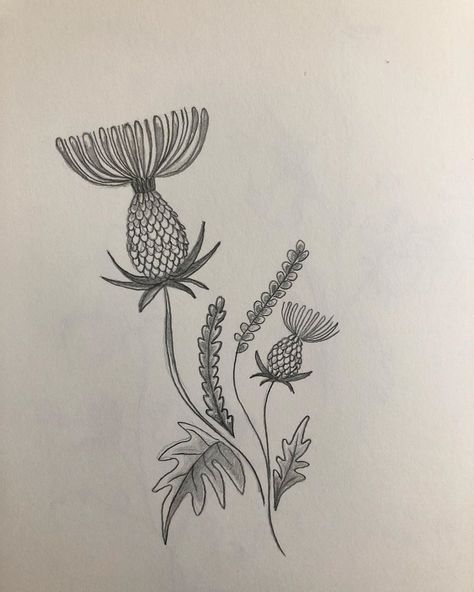 Thistle Tattoo, Thistle Flower, Dreamcatcher Tattoo, Lotus Flower Tattoo, Drawing Sketches, Flower Tattoo, Tatting, Tattoo Ideas, Tattoo Designs