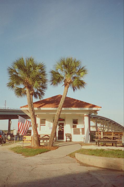 Cinestill 400D filmstock. A bait shop in Daytona Beach, FL on 35mm film. Taken on my Olympus Stylus 120 (a point and shoot camera) Point And Shoot Camera Photography, Film Point And Shoot, Cinestill 400d, Bait Shop, Olympus Stylus, Point And Shoot Camera, Daytona Beach, On Film, 35mm Film