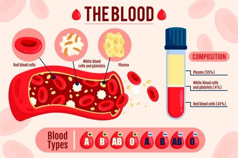 Infographic Design Medical, Graphic Design Medical, System Infographic, Medical Infographic, The Circulatory System, Nursing Student Tips, Medical Laboratory Science, Vector Infographic, Biology Lessons