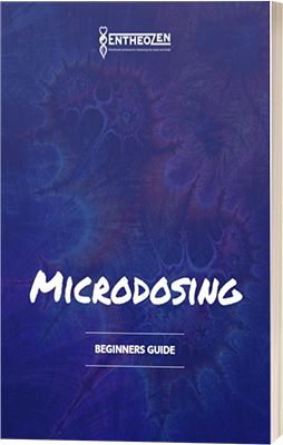 How To Microdose Mushrooms, Microdose Mushrooms, Microdosing Mushrooms, Capsule Machine, Mushroom Benefits, Plant Medicine, Veg Garden, Pharmacology, Psychiatry