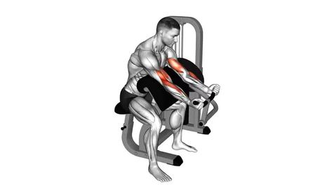 Leverage Machine Mastery: Lever Preacher Curl Exercise Guide Curl Exercise, Concentration Curls, Preacher Curls, Muscular Endurance, Muscle Imbalance, Tricep Dips, Upper Body Strength, Strength Training Workouts, Online Library