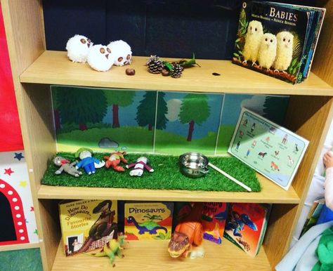 Story Telling Area Eyfs, Eyfs Setup, Reading Shelves, Story Shelves, Talk For Writing, Reading Shelf, Story Baskets, Reading Corner Classroom, Fairy Tales Preschool