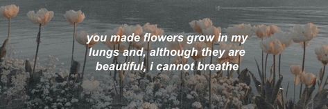 Hanahaki Quotes, Hanahaki Disease Quotes, Disease Quote, Wilted Flowers, Quote Banner, Twitter Layouts, Header Banner, Quotes Deep Feelings, Flower Quotes