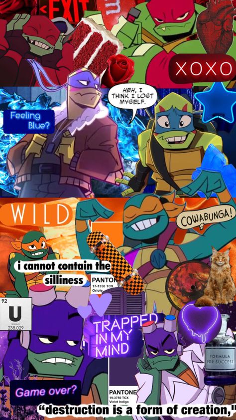 #rottmnt #rottmntdonnie #rottmnmikey #rottmntleo #rottmntraph Rottmnt Wallpaper, Tmnt Wallpaper, Cool Handshakes, Ninga Turtles, Turtle Wallpaper, Raphael Tmnt, Tmnt Leo, Turtle Tots, Ninja Turtles Funny