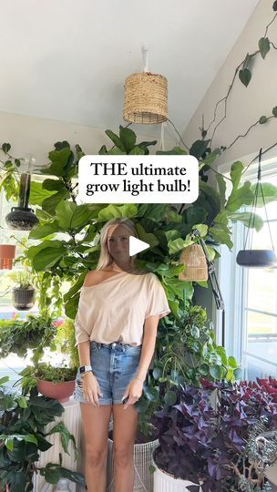 Grow Lamp For Plants, Pendant Grow Light Ideas, Grow Light Set Up, Indoor Grow Light Ideas, Indoor Grow Lights, Plants House, Grow Light Bulbs, Grow Lamps, Plant Lighting