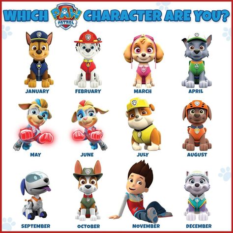 PAW Patrol on Instagram: “🐶Your birthday month corresponds to the PAW character you're going to #StayHome with. Who are you with? 💙#PAWPatrol . I'm with Rocky! 🐶💚 .…” Paw Patrol Names, Baby Walrus, Paw Patrol Rescue, Dog Tracker, Paw Patrol Cartoon, Your Birthday Month, Baby Snakes, Everest Paw Patrol, Cactus Terrarium