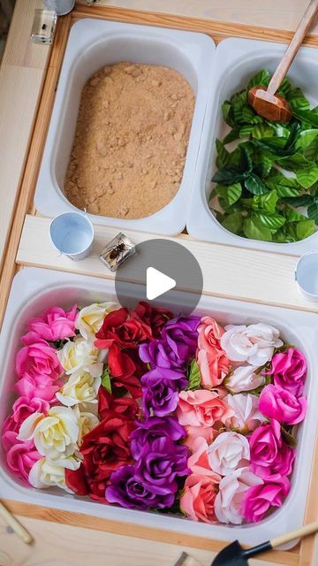 759 likes, 34 comments - livethescottcottage on January 30, 2022: "🌹Roses Sensory Bin🌹one of Q’s favorite plays ever ! I popped a question box in stories th..." Question Box, Sensory Bin, Kid Activities, Sensory Bins, A Question, Sensory Play, Imaginative Play, Activities For Kids, Roses