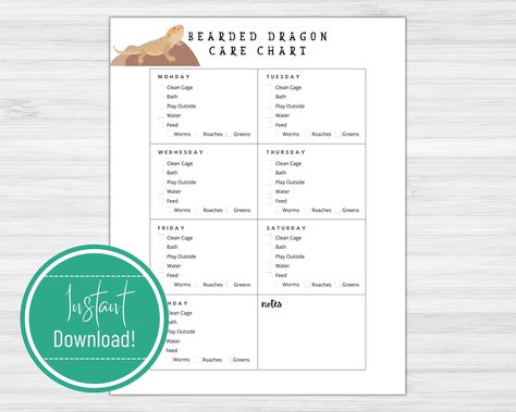 Excited to share the latest addition to my #etsy shop: Bearded Dragon Care Chart Printable Download #feedingschedule #petcaretracker #carechartprintable #petcarechart #pettodolist #beardeddragoncare #beardeddragonchart Pet Care Chart, Chameleon Care, Bearded Dragon Care, Kid Responsibility, Daily To Do List, Copy Paper, Growth Chart, Bearded Dragon, Dry Erase Markers