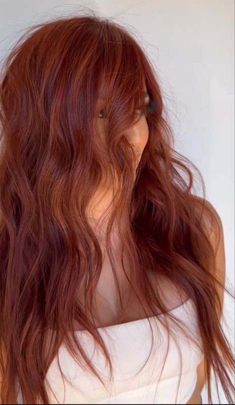 Natural Red Copper Hair, Neutral Red Hair, Old Money Red Hair, Straight Ginger Hair, Latina Red Hair, Ginger Spice Hair, Warm Red Hair, Cowboy Copper, Red Hair Inspo