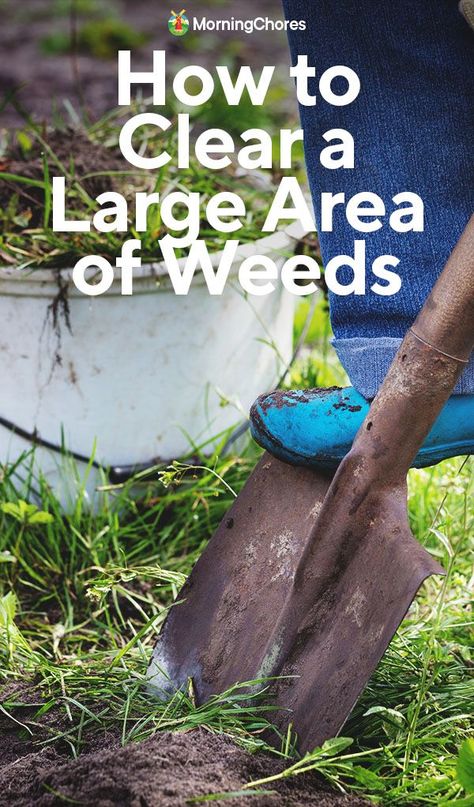 If you have a large area of weeds, you'll need to use different tactics to clear them out than you would with just a few weeds. Here's how. Best Way To Get Rid Of Weeds, Get Rid Of Weeds Permanently, Pulling Weeds Hack, How To Pull Weeds Easily, Weeds In Garden, Identifying Weeds, Weeding The Garden, Dutch Gardens, Pulling Weeds