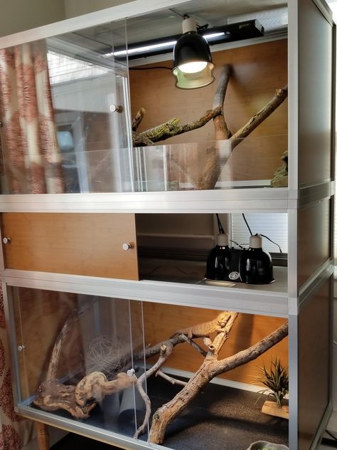 Snake Habitat Ideas Terrarium Diy, Reptile Room Setup, Reptile Room Ideas, Diy Reptile Enclosure, Bearded Dragon Terrarium Ideas, Hedgehog Cage, Diy Reptile, Bearded Dragon Terrarium, Bearded Dragon Enclosure