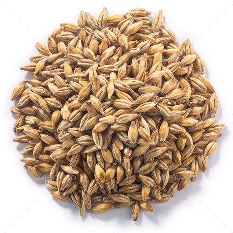 Barley, unhulled h. vulgare seeds, paths, top by maxsol7. Pile of unhulled Barley (Hordeum vulgare seeds), isolated, top view #AD #seeds, #paths, #vulgare, #Barley Friends Cartoon, Best Friends Cartoon, Friend Cartoon, Graphic Poster Art, Merchandise Design, Top View, Barley, Art Poster, Poster Art